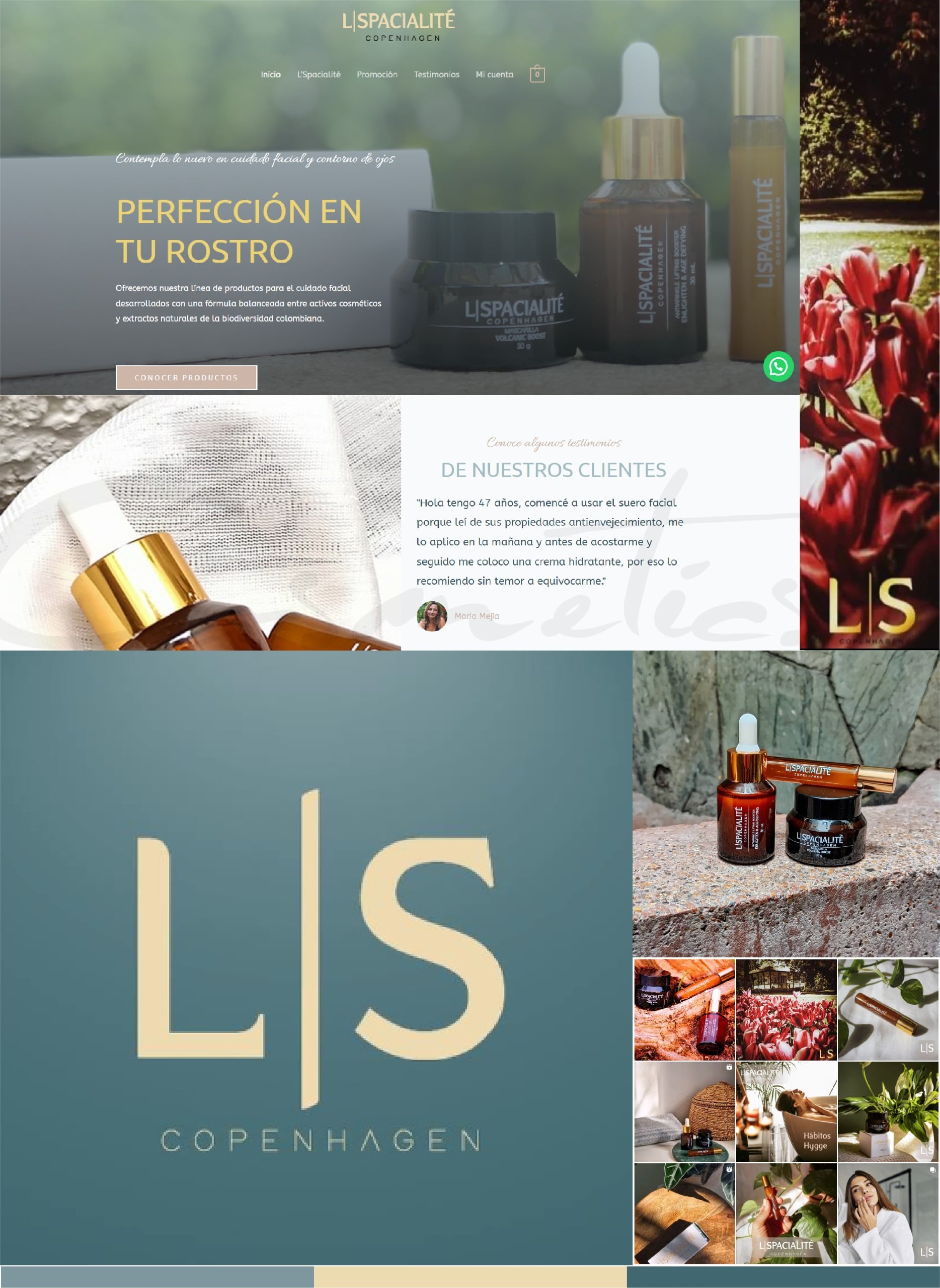 SRC Campañas (4)